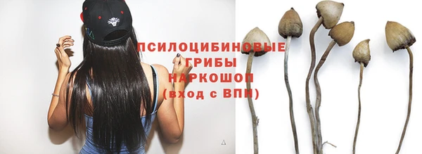 стаф Аркадак