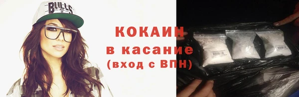 стаф Аркадак