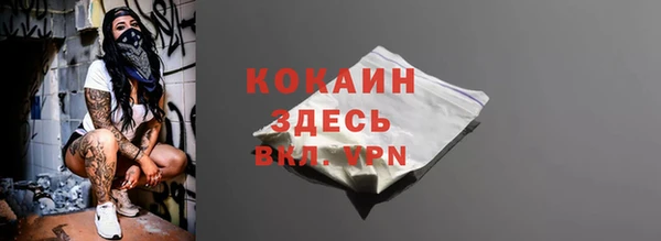 стаф Аркадак