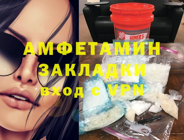 стаф Аркадак