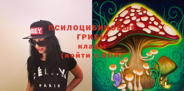 стаф Аркадак