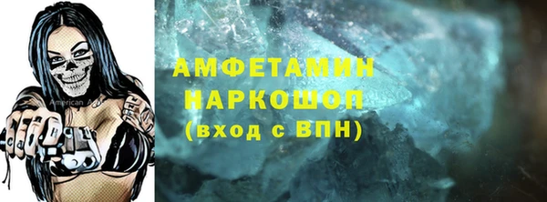 стаф Аркадак